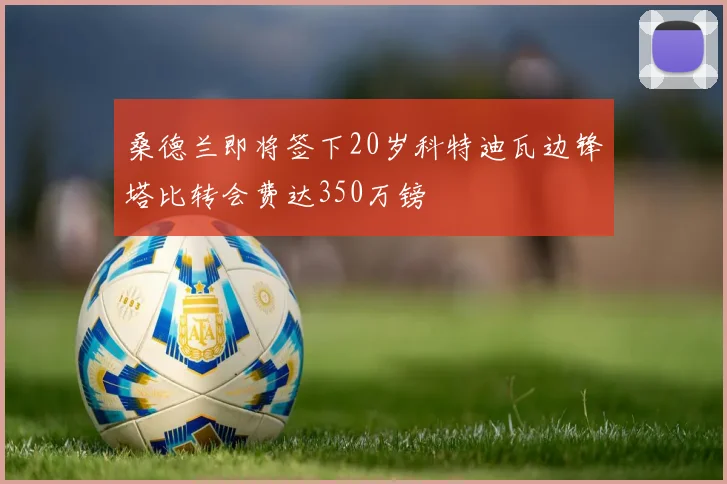 桑德兰即将签下20岁科特迪瓦边锋塔比转会费达350万镑